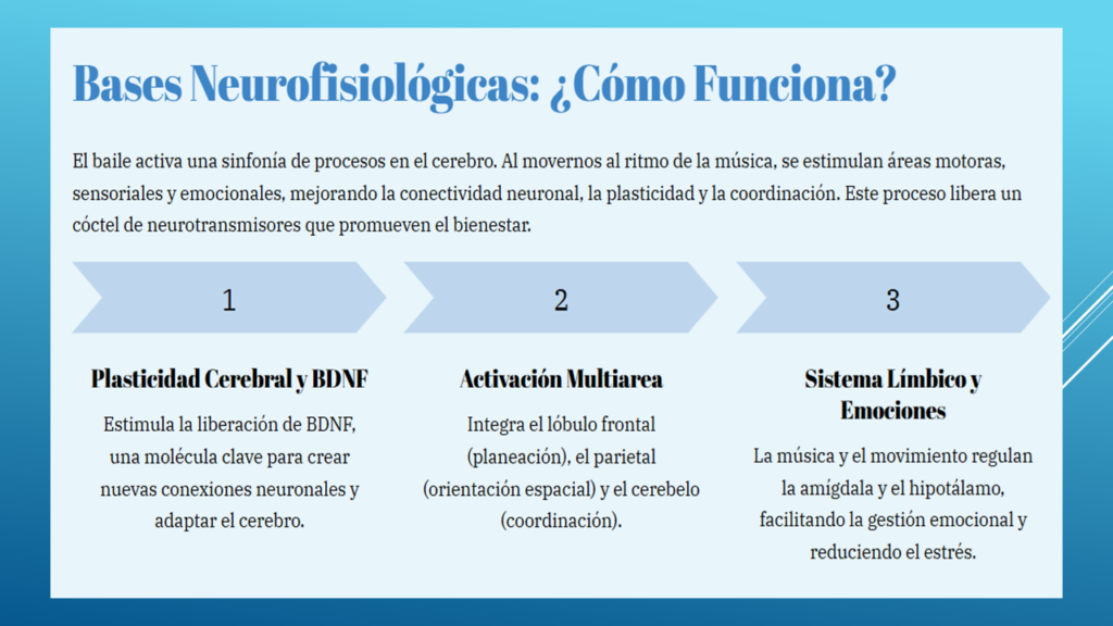 Diapositiva3