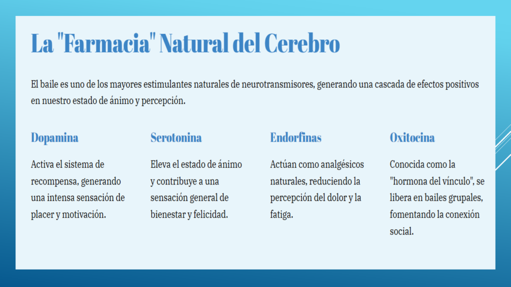 Diapositiva4